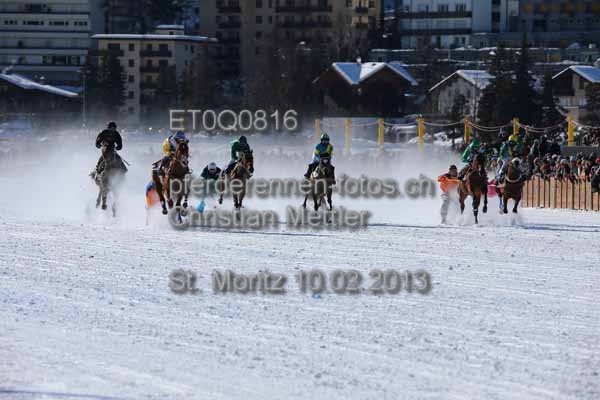 ET0Q0816 prot